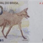 Dinheiro Cedula de 200 Reais Banco Central