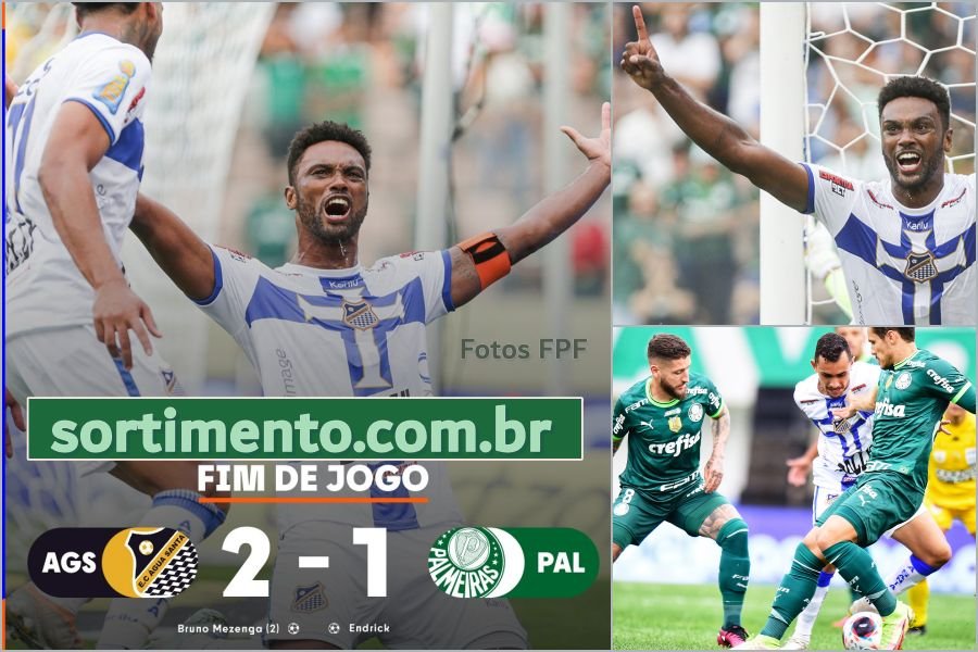 Final do Campeonato Paulista : Surpreendente Água Santa vence Palmeiras na Arena Barueri com dois gol de Bruno Mezenga