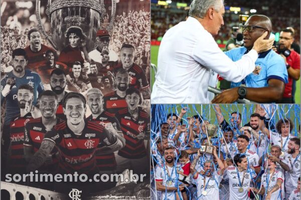 Flamengo campeão do campeonato carioca - sortimento-com-br-994754.hostingersite.com - Sortimento Futebol