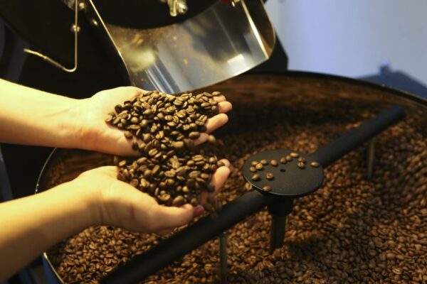 Preços do café arábica e robusta caíram