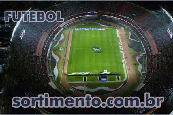 Imposto de Renda 2025 : especialista dá dicas de como declarar apostas esportivas