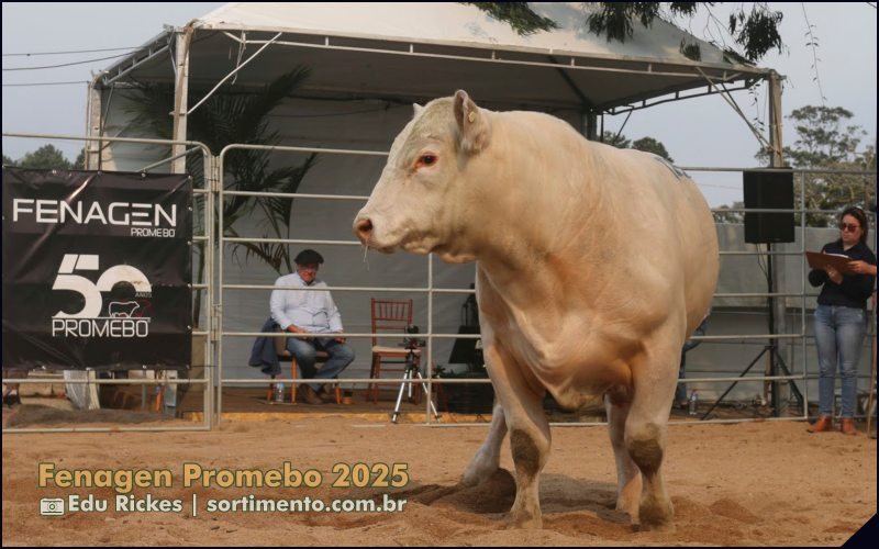 Fenagen Promebo - Feira Nacional de Genética Promebo ( Programa de Melhoramento de Bovinos de Carne)