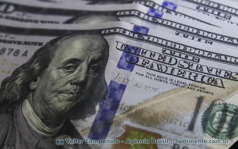 Dolar Americano - Sortimento Economia
