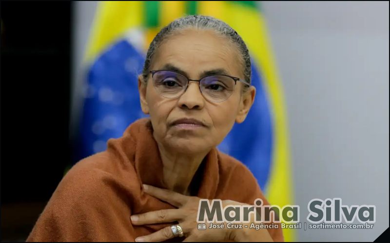 PL da Devastação : ministra do Meio Ambiente e Mudança do Clima, Marina Silva