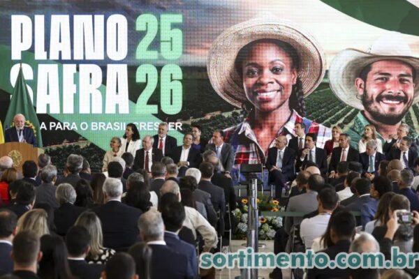 Frente Parlamentar da Agropecuária critica Plano Safra 25/26 e aponta recuo em investimentos agropecuários Plano Safra - Ministério da Agricultura e Pecuária - Sortimento Agropecuária