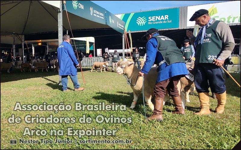 Arco na Expointer - Criadores de Ovinos - Sortimento Feira Agropecuária