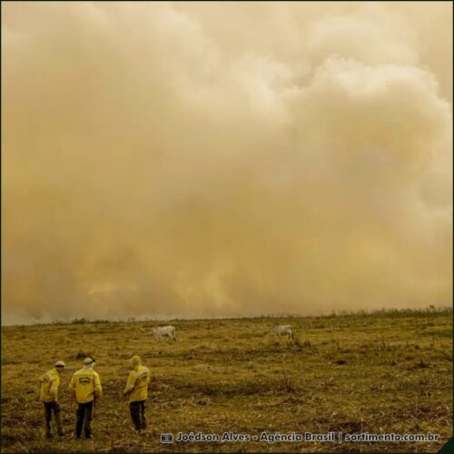Orientações à população em perigo por baixa umidade