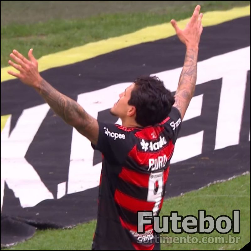 Campeonato Brasileiro - Pedro do Flamengo - Futebol Brasileiro - sortimento.com.br