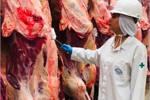 Proposta de privatização das inspeções de animais ameaça produção e credibilidade do País, alerta Anffa Sindical Privatização das inspeções de animais ameaça produção e credibilidade do País, alerta Anffa Sindical