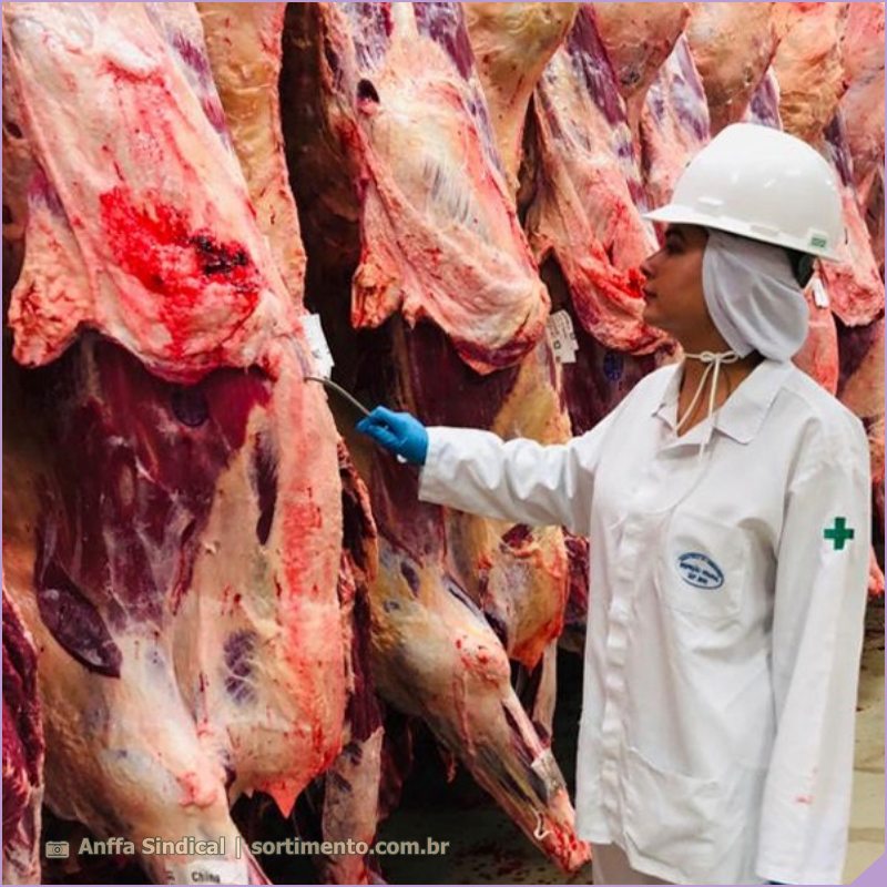 Privatização das inspeções de animais ameaça produção e credibilidade do País, alerta Anffa Sindical
