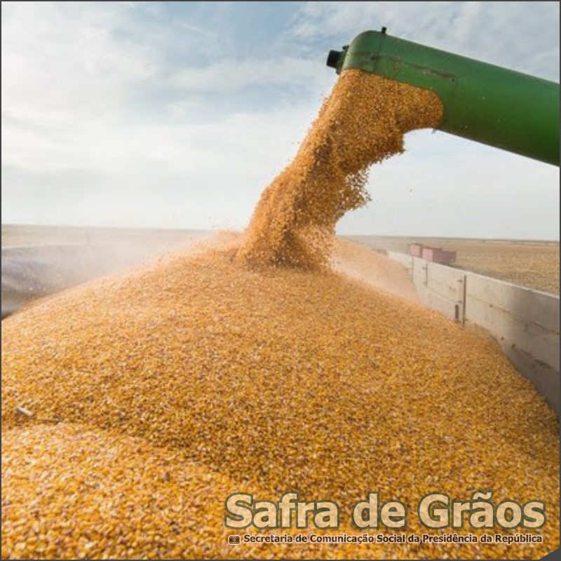 Safra de grãos no Rio Grande do Sul tem 16% de projeção de crescimento - sortimento.com.br