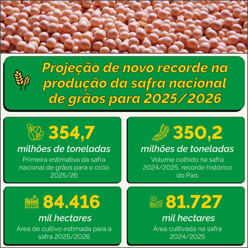 Produção da Safra de Grãos 2026 - Sortimento.com.br