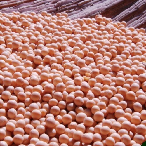 La Niña pode reduzir chuvas no Sul e exigir atenção dos sojicultores