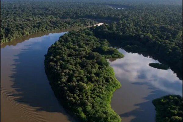 Amazônia - Meio Ambiente - Sortimento