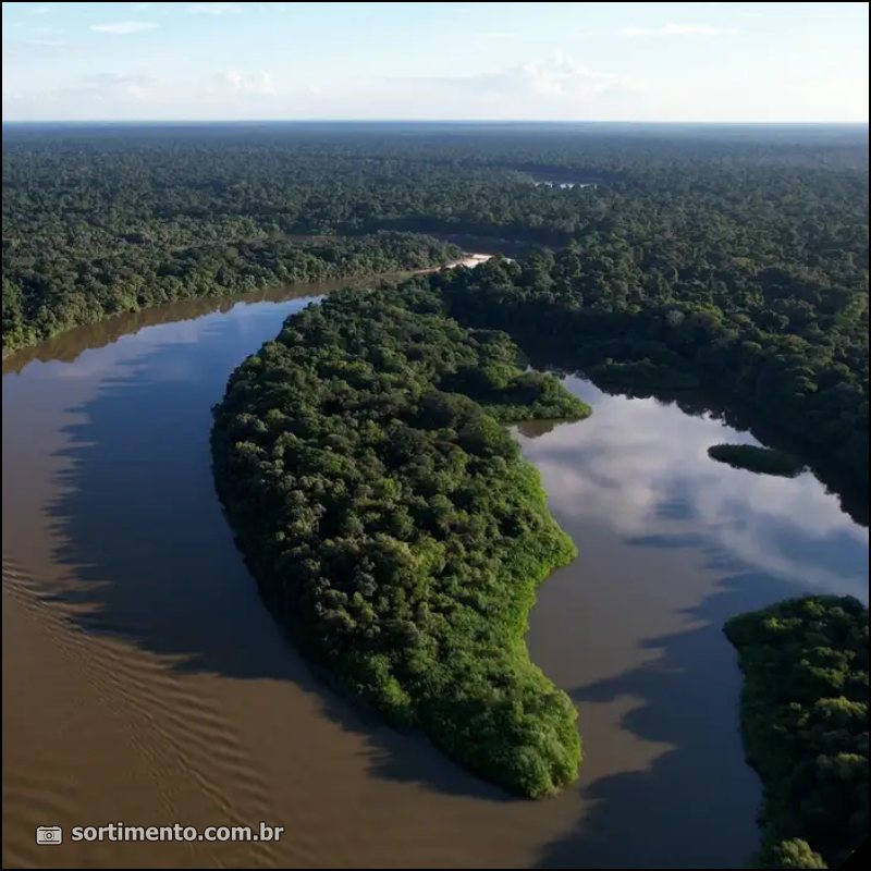 Amazônia - Meio Ambiente - Sortimento