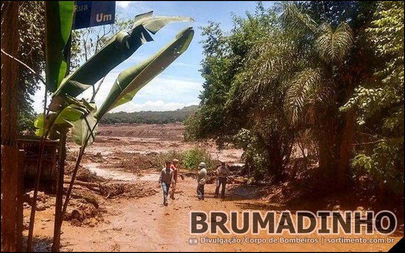Rompimento de Barragem em Brumadinho-MG - sortimento.com.br