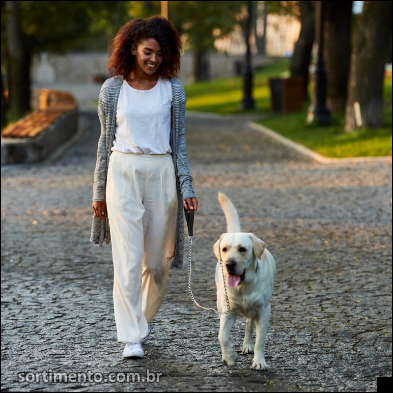 Rio Grande do Sul dá passo importante na proteção animal