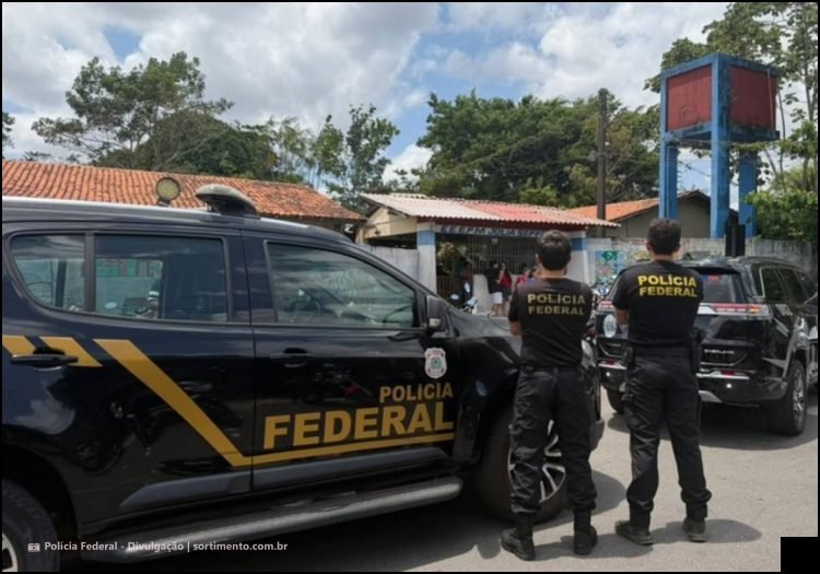 Ações da Polícia Federal nas Eleições - sortimento.com.br